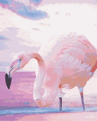 Greater Flamingo paint by numbers