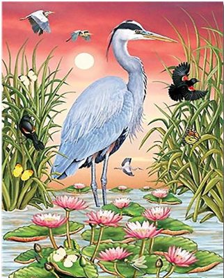 Grey Herons Birds paint by numbers