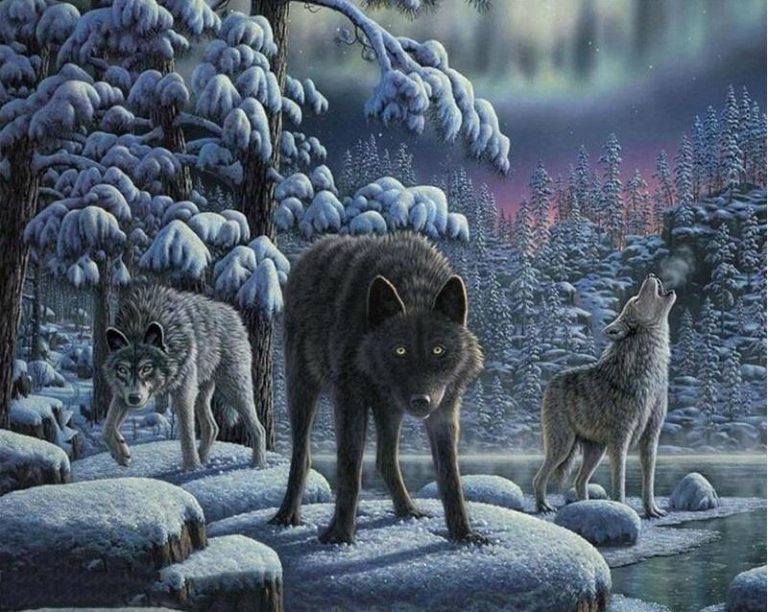 Hunting Wolves paint by numbers