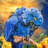 Hyacinth Macaw paint by numbers