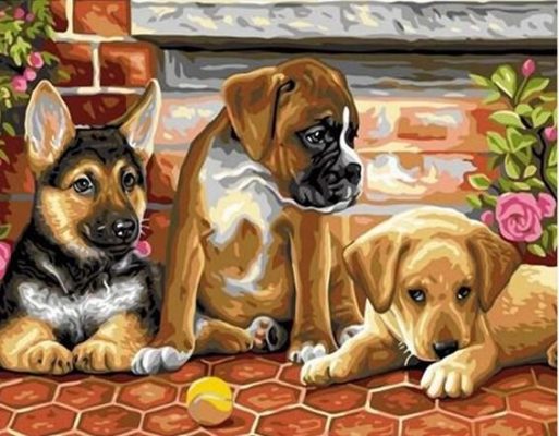 Puppies With A Tennis Ball paint by numbers