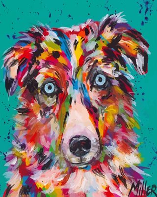 Mini Aussie Dog paint by numbers