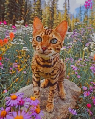 Bengal Cat And Flowers Paint by numbers