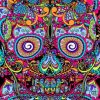 Colorful Skull Paint by numbers