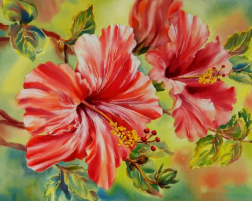 Red White hibiscus paint by numbers