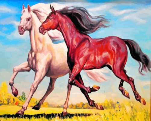 Brown And White Horses Paint by numbers