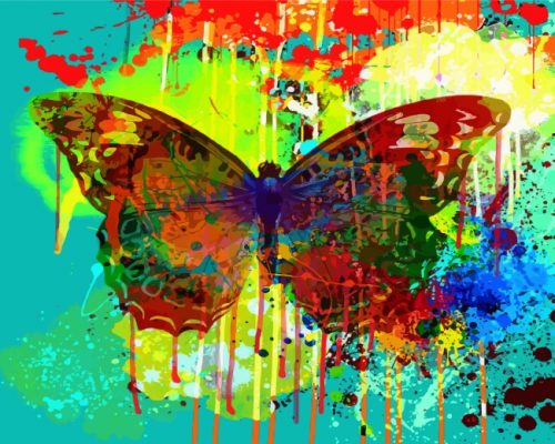 Abstract Splash Butterfly Paint by numbers