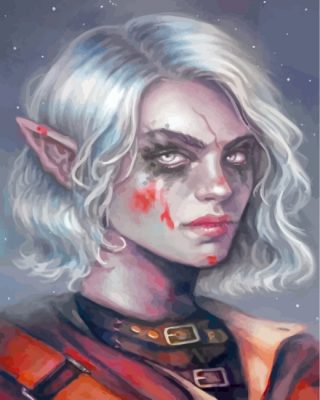 elf-woman-paint-by-numbers