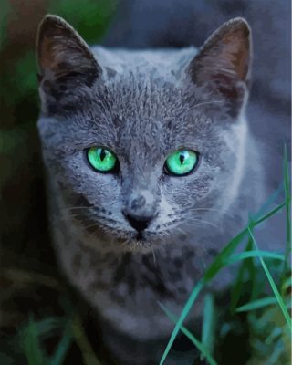 Russian Blue cat pet Paint by numbers