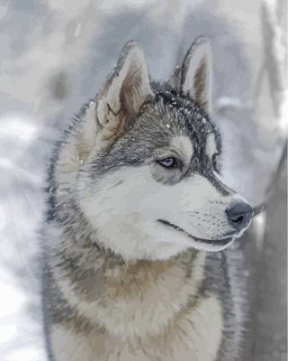 aesthetic-husky-and-snow-paint-by-numbers