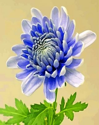 chrysanthemum-flower-paint-by-number