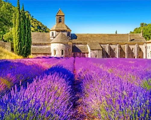 Lavender Field Provence Paint by numbers