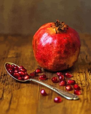 Pomegranate Still Life Photography paint by numbers