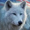 American Flag Wolf Animals Paint By Numbers