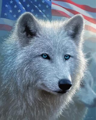 American Flag Wolf Animals Paint By Numbers