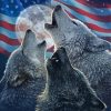 American Flag Wolves Paint By Numbers
