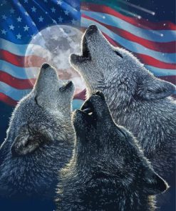 American Flag Wolves Paint By Numbers