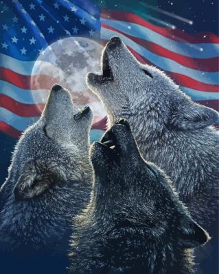 American Flag Wolves Paint By Numbers