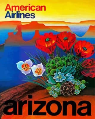 Arizona Poster Illustration Paint By Numbers