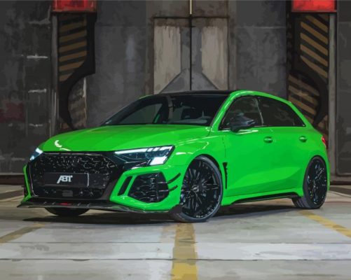 Audi RS3 Car Paint By Numbers