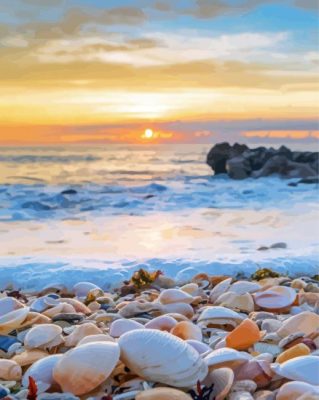 Shells Beach And Sunrise Paint By Numbers