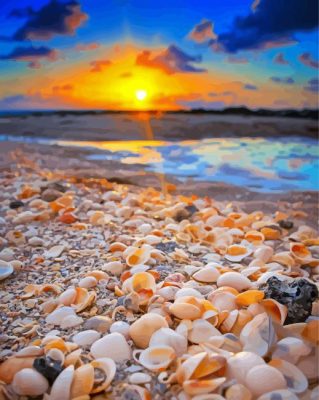 Shells On Beach With Sunset View Paint By Numbers