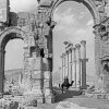 Black And White Palmyra Paint By Numbers
