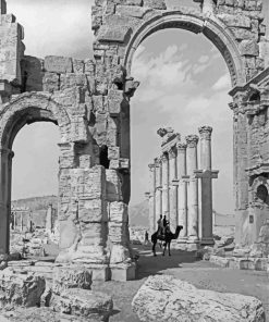 Black And White Palmyra Paint By Numbers