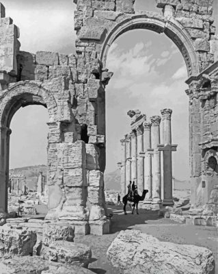 Black And White Palmyra Paint By Numbers