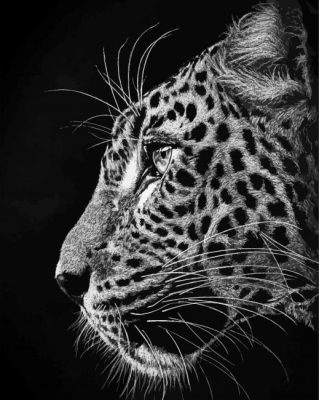 Black And White Cheetahs Side Profile Paint By Numbers