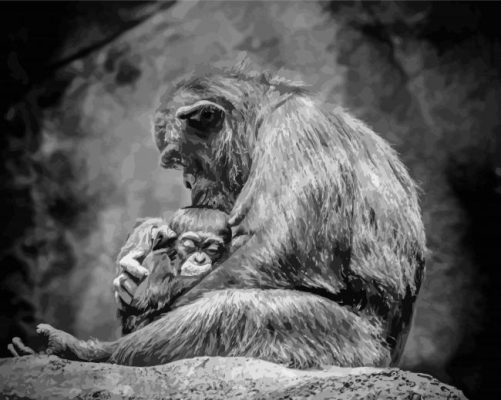 Black And White Chimpanzee Mom And Baby Paint By Numbers