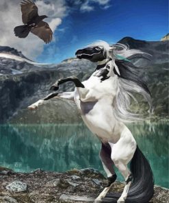 Black And White Horse And Eagle Paint By Numbers