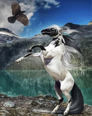 Black And White Horse And Eagle Paint By Numbers