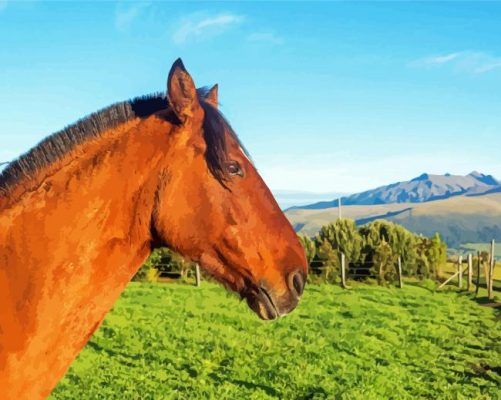 Brown Mare Horse Side Profile Paint By Numbers