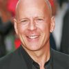 Bruce Willis Paint By Numbers
