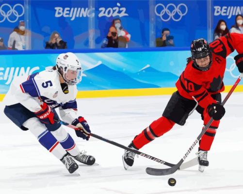 Canada Hockey Paint By Numbers