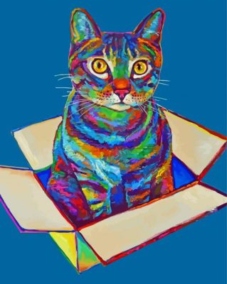 Colorful Cat In A Box Paint By Numbers