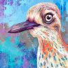 Curlew Art Paint By Numbers
