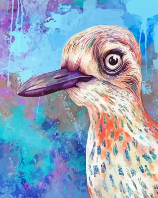 Curlew Art Paint By Numbers