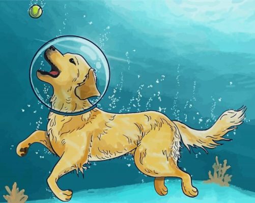 Dog Swimming Underwater Paint By Numbers