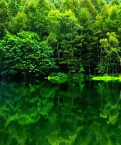 Forest And Water Reflection Paint By Numbers