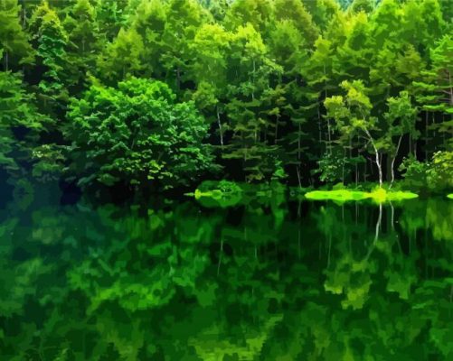 Forest And Water Reflection Paint By Numbers