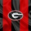 Georgia Bulldogs Football Logo Flag Paint By Numbers