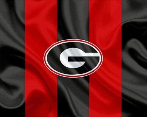 Georgia Bulldogs Football Logo Flag Paint By Numbers