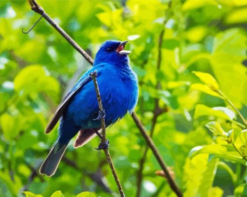 Indigo Bunting Bird On A Tree Branch Paint By Numbers