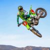 Motocross Racer Eli Tomac Paint By Numbers