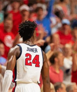 Ole Miss Basketball Player Back Paint By Numbers