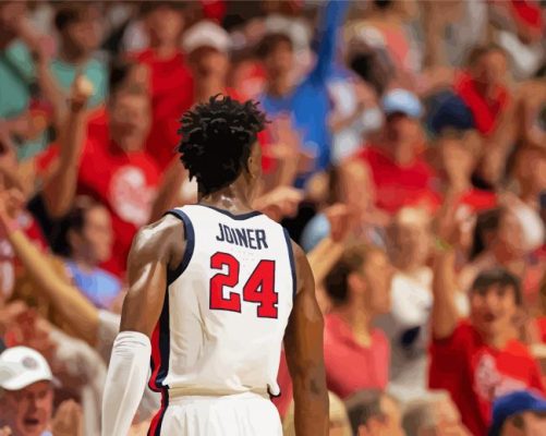 Ole Miss Basketball Player Back Paint By Numbers