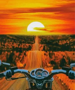 Orange Sunset Motorbike Driver Paint By Numbers