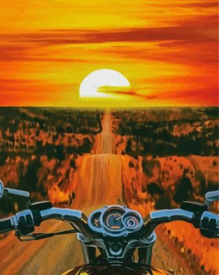 Orange Sunset Motorbike Driver Paint By Numbers